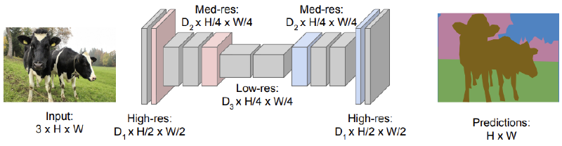 FCN architecture diagram showing an input image of cows being downsampled through convolutional layers to progressively lower resolutions and then upsampled back to the original resolution to produce a pixel-wise segmentation prediction map